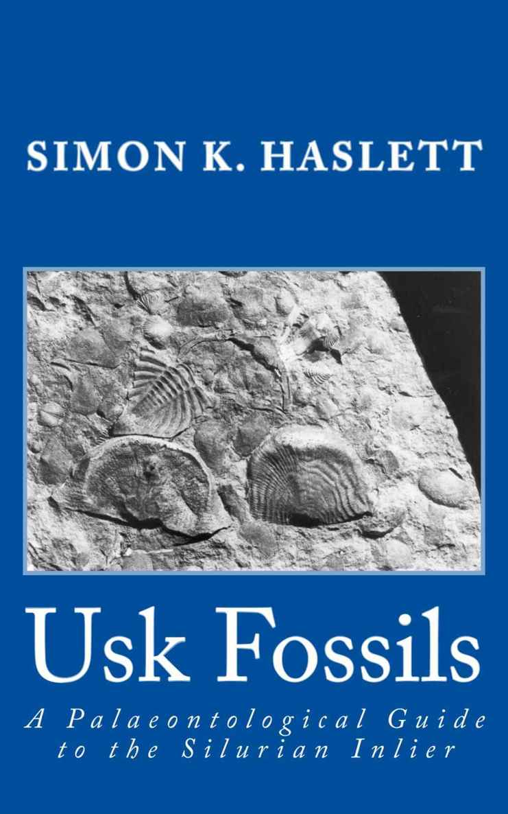 Usk Fossils: A Palaeontological Guide to the Silurian Inlier