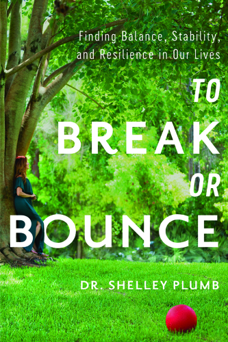 To Break or Bounce: Finding Balance, Stability, and Resilience in Our Lives