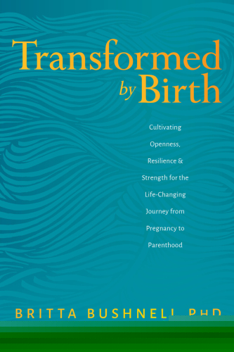 Transformed by Birth: Cultivating Openness, Resilience, and Strength for the Life Changing Journey from Pregnancy to Parenthood