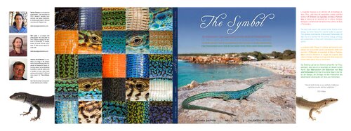 The Symbol: Wall Lizards of Ibiza & Formentera