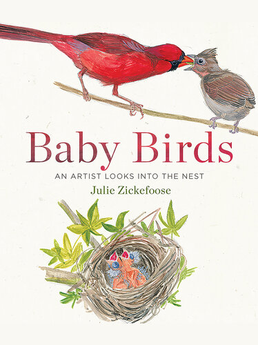 Baby Birds: An Artist Looks into the Nest