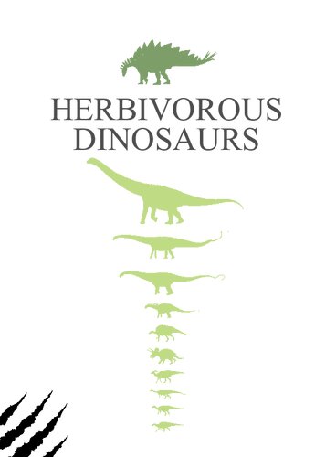 Lo stegosauro e i dinosauri erbivori. Dinosauri 3D. Ediz. a colori. Con gadget