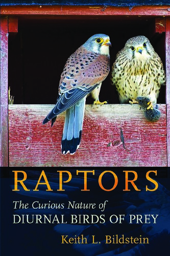 Raptors: The Curious Nature of Diurnal Birds of Prey