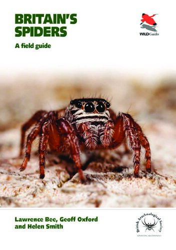 Britain's Spiders: A Field Guide