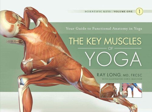 : The Key Muscles of Hatha Yoga