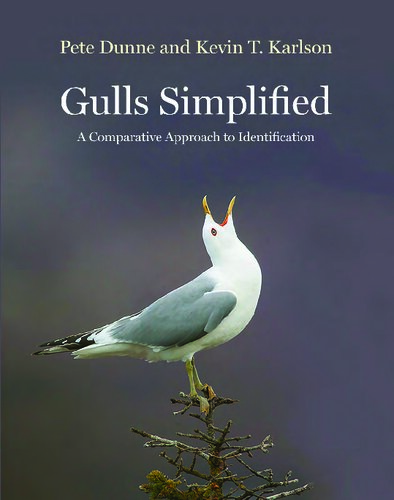 Gulls Simplified: A Comparative Approach to Identification
