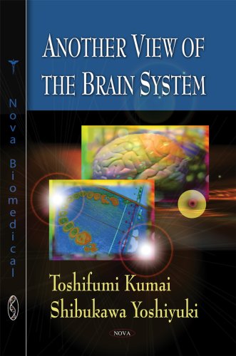 Another View of the Brain System