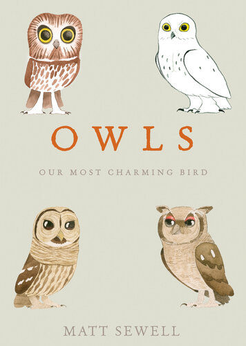 Owls: Our Most Charming Bird