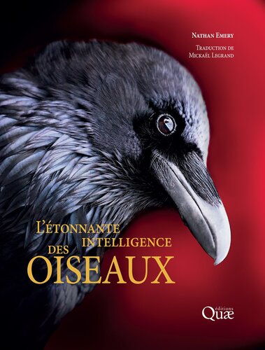 L’étonnante intelligence des oiseaux
