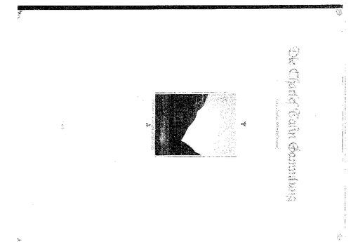 Vom Kaiserhof zur Reichskanzlei - Eine historische Darstellung in Tagebuchblaettern