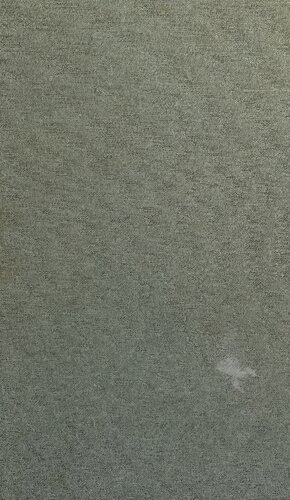 The Menomini Language