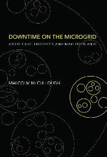 Downtime on the Microgrid: Architecture, Electricity, and Smart City Islands