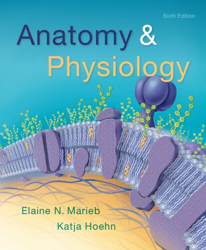 Anatomy & Physiology
