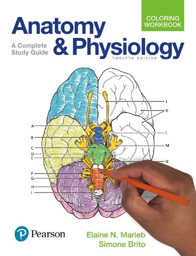 Anatomy and Physiology Coloring Workbook: A Complete Study Guide