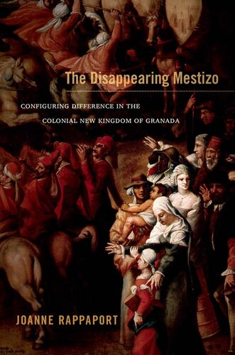 The Disappearing Mestizo: Configuring Difference in the Colonial New Kingdom of Granada