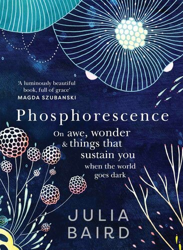 Phosphorescence: On Awe, Wonder and Things That Sustain You When the World Goes Dark