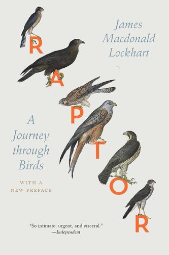 Raptor: A Journey Through Birds