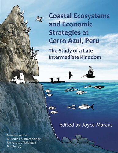 Coastal Ecosystems and Economic Strategies at Cerro Azul, Peru: The Study of a Late Intermediate Kingdom