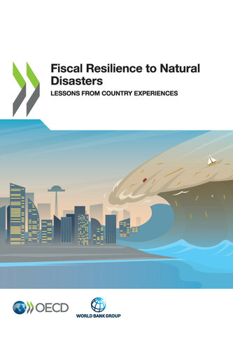 Fiscal Resilience to Natural Disasters
