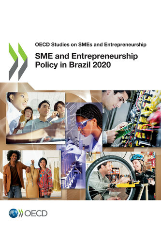 SME and Entrepreneurship Policy in Brazil 2020
