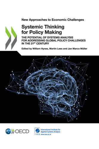 Systemic Thinking for Policy Making