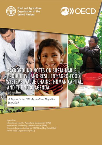 Background Notes on Sustainable, Productive and Resilient Agro-Food Systems: Value chains, human capital, and the 2030 Agenda: A Report to the G20 Agriculture Deputies July 2019