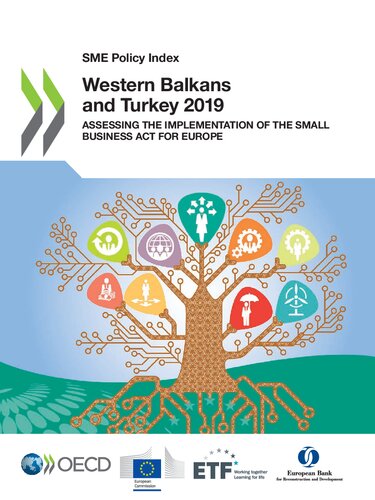 SME Policy Index : Western Balkans and Turkey 2019.