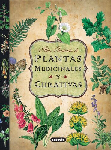 Plantas Medicinales Y Curativas (Atlas Ilustrado)