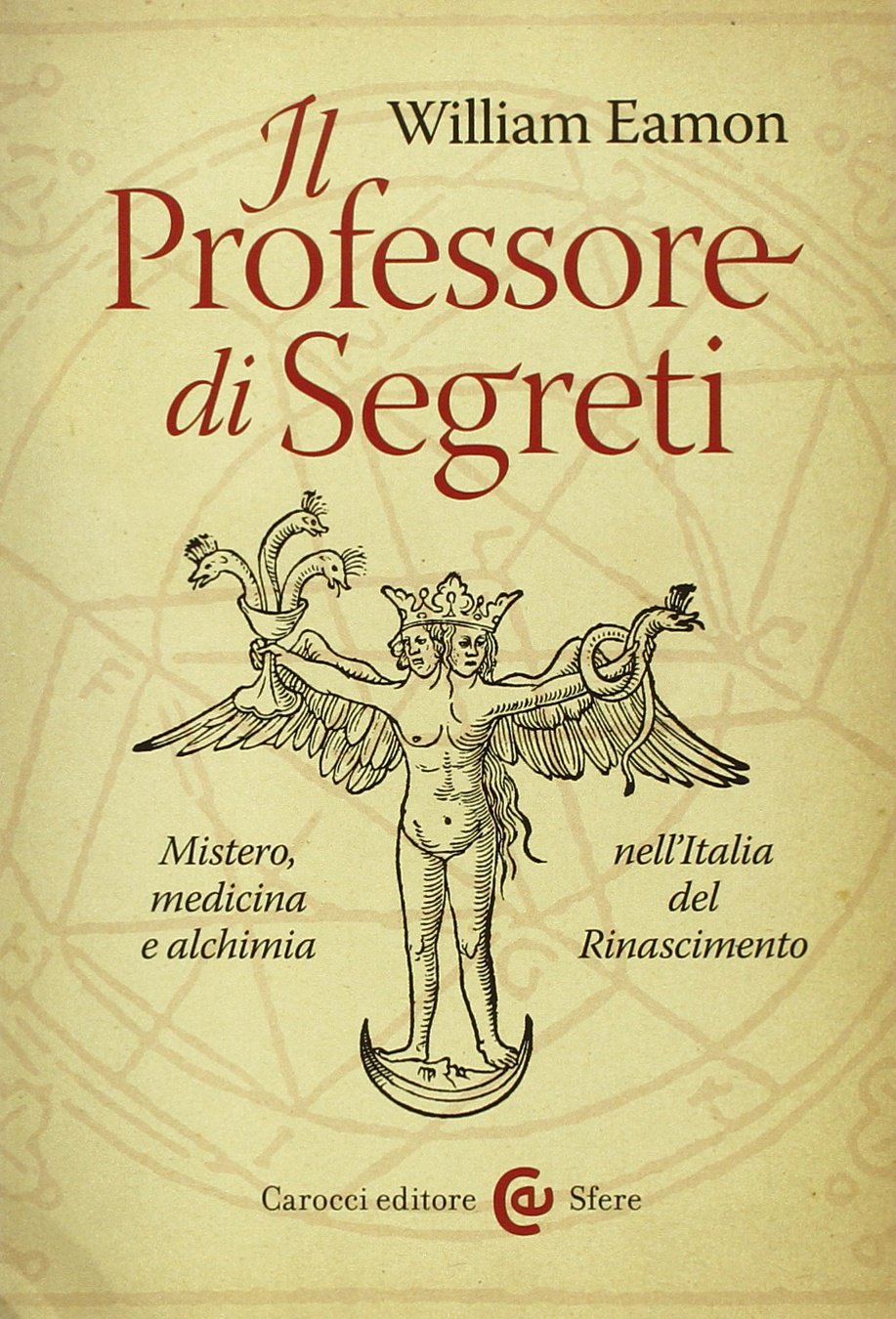 Il professore di segreti. Mistero, medicina e alchimia nell'Italia del Rinascimento