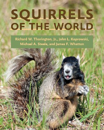 Squirrels of the world