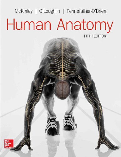 Human anatomy