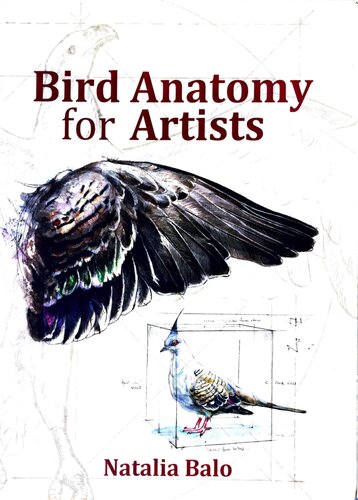 Bird Anatomy for Artists Comprehensive Guide to Drawing Birds for Artists and Bird Lovers
