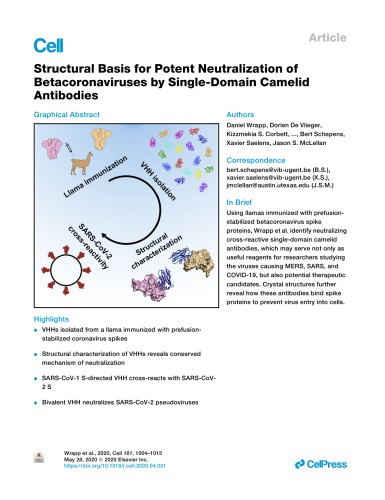 Structural Basis for Potent Neutralization of Betacoronaviruses by Single-Domain Camelid Antibodies