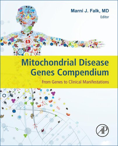 Mitochondrial Disease Genes Compendium: From Genes to Clinical Manifestations