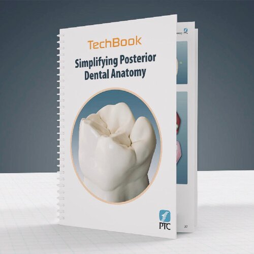 Simplifying posterior dental anatomy