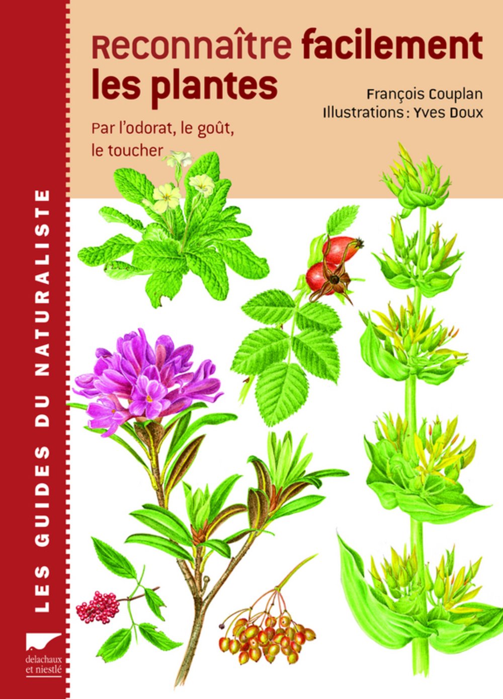 Reconnaître facilement les plantes: par l'odorat, le goût, le toucher