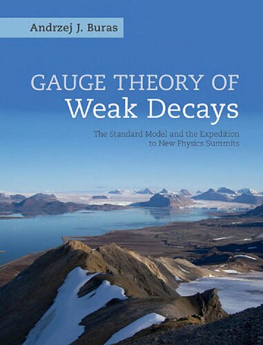 Gauge Theories of Weak Decays (Cambridge Monographs on Particle Physics, Nuclear Physics an)