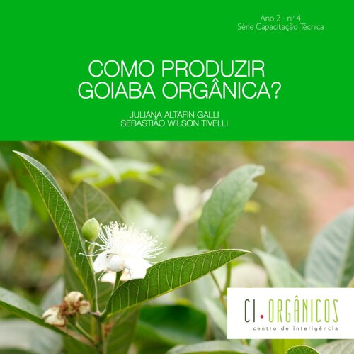 Como produzir goiaba orgânica