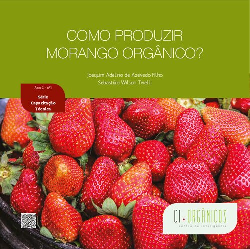 Como produzir morango orgânico