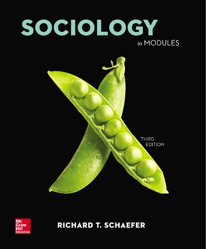 Sociology in modules