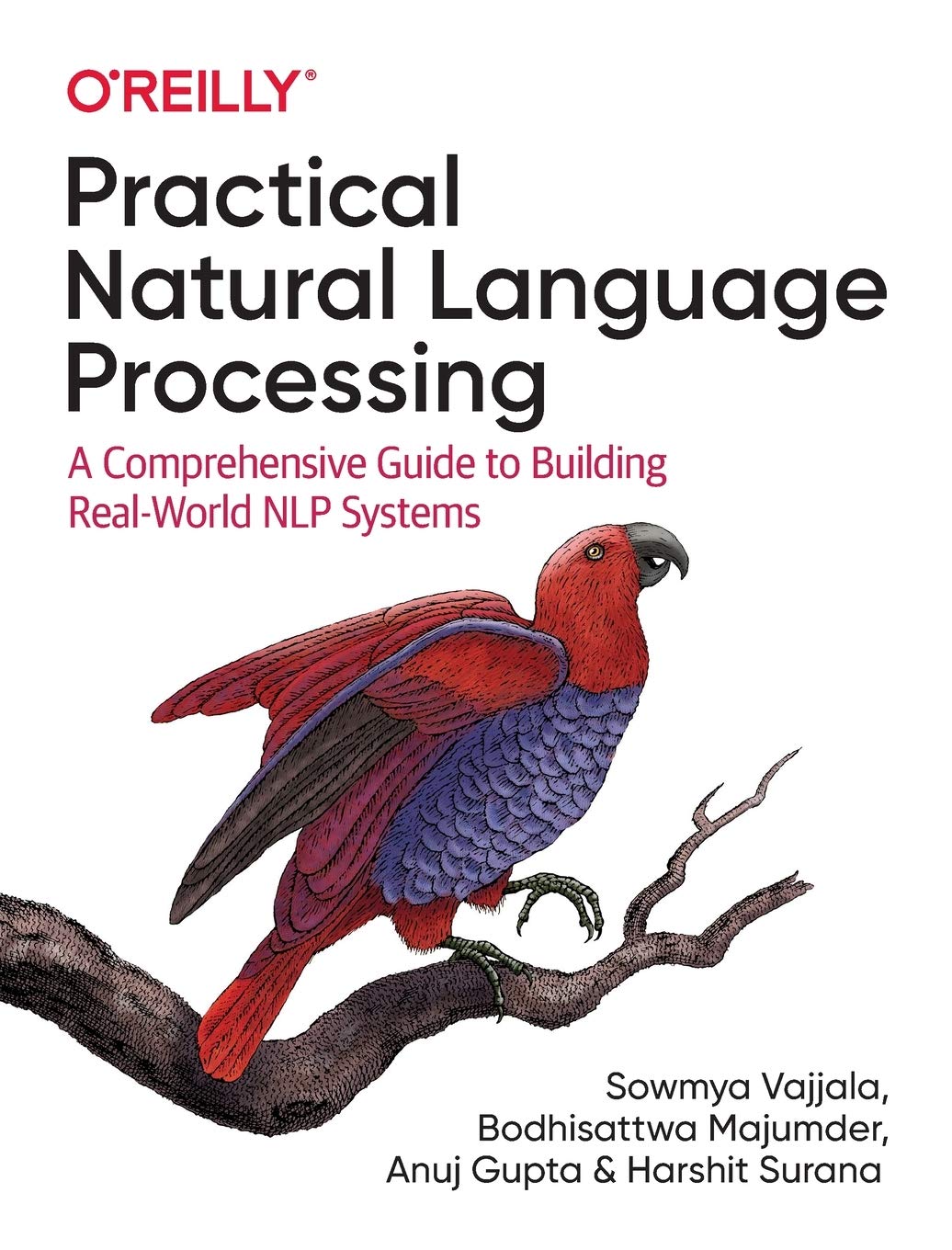 Practical Natural Language Processing: A Comprehensive Guide to Building Real-world Nlp Systems