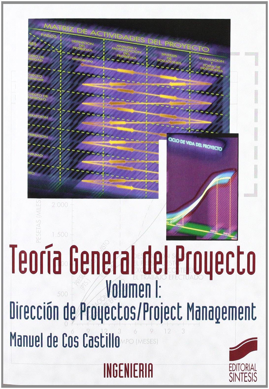 Teoría general del proyecto: 1 (Síntesis ingeniería. Ingeniería industrial)
