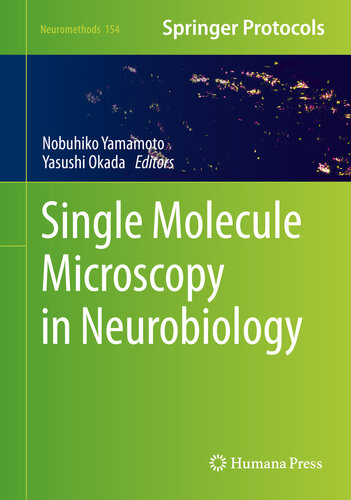 Single Molecule Microscopy in Neurobiology