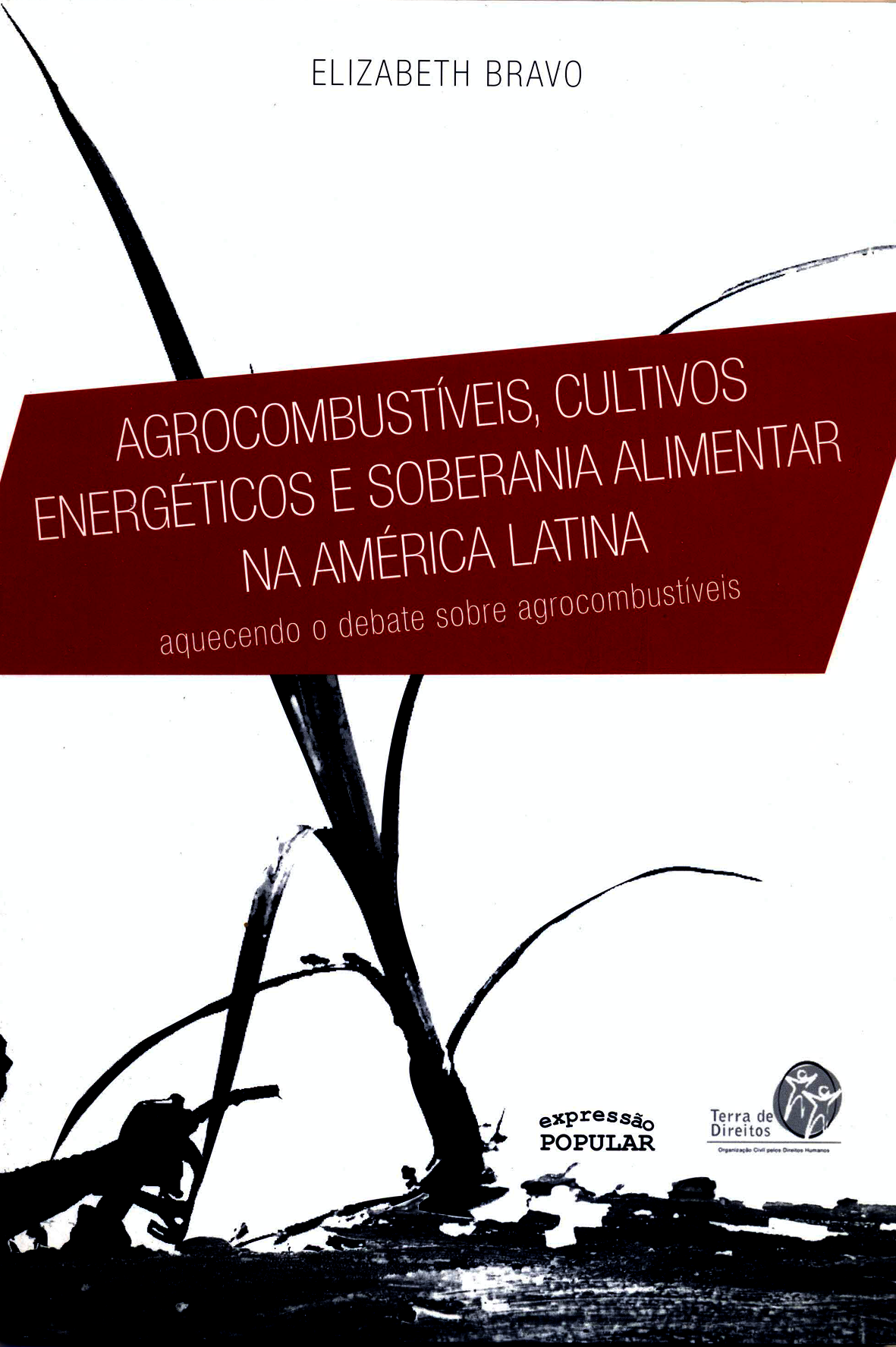 Agrocombustíveis, cultivos energéticos e soberania alimentar na América Latina: aquecendo o debate sobre agrocombustíveis