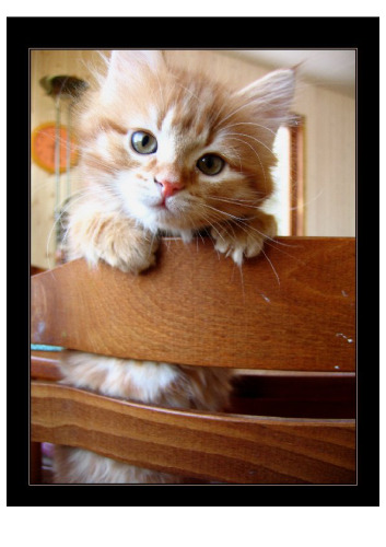 The Order of Things: An Archaeology of the Human Sciences