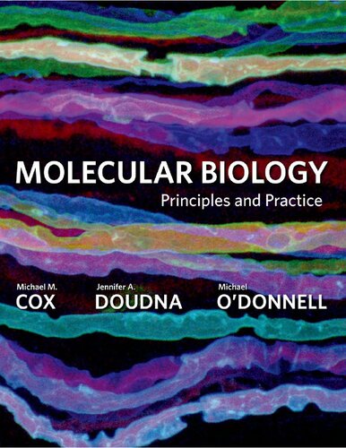 Molecular biology : principles and practice
