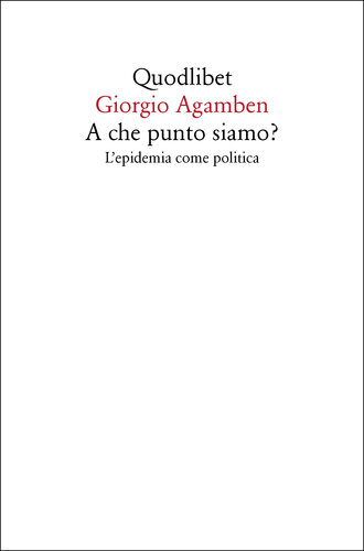 A che punto siamo? L'epidemia come politica