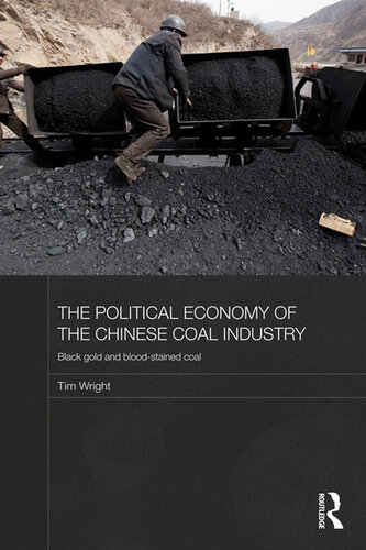 The Political Economy of the Chinese Coal Industry: Black Gold and Blood-Stained Coal