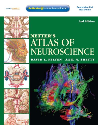 Netter's Atlas of neuroscience ()