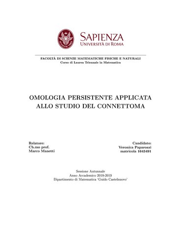 Omologia persistente applicata allo studio del conenettoma